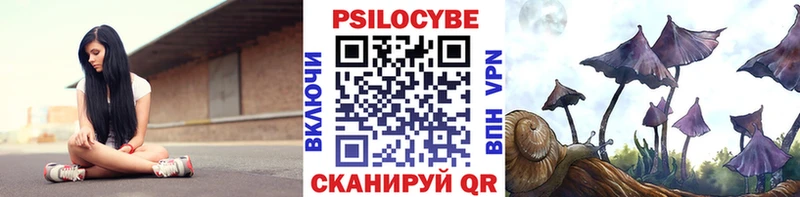 Купить где  Ессентукская  Галлюциногенные грибы мицелий 